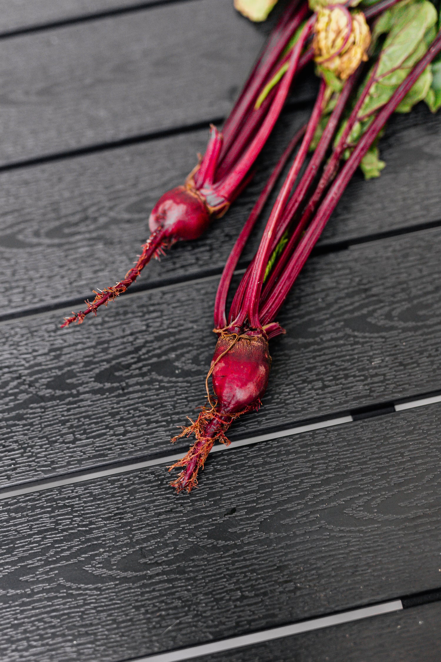 the bath essence - natural ingredient - beetroot