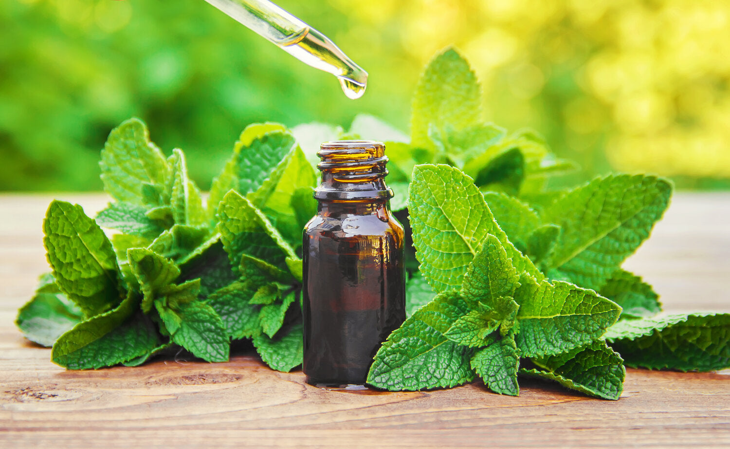 the bath essence - essential oil - peppermint oil