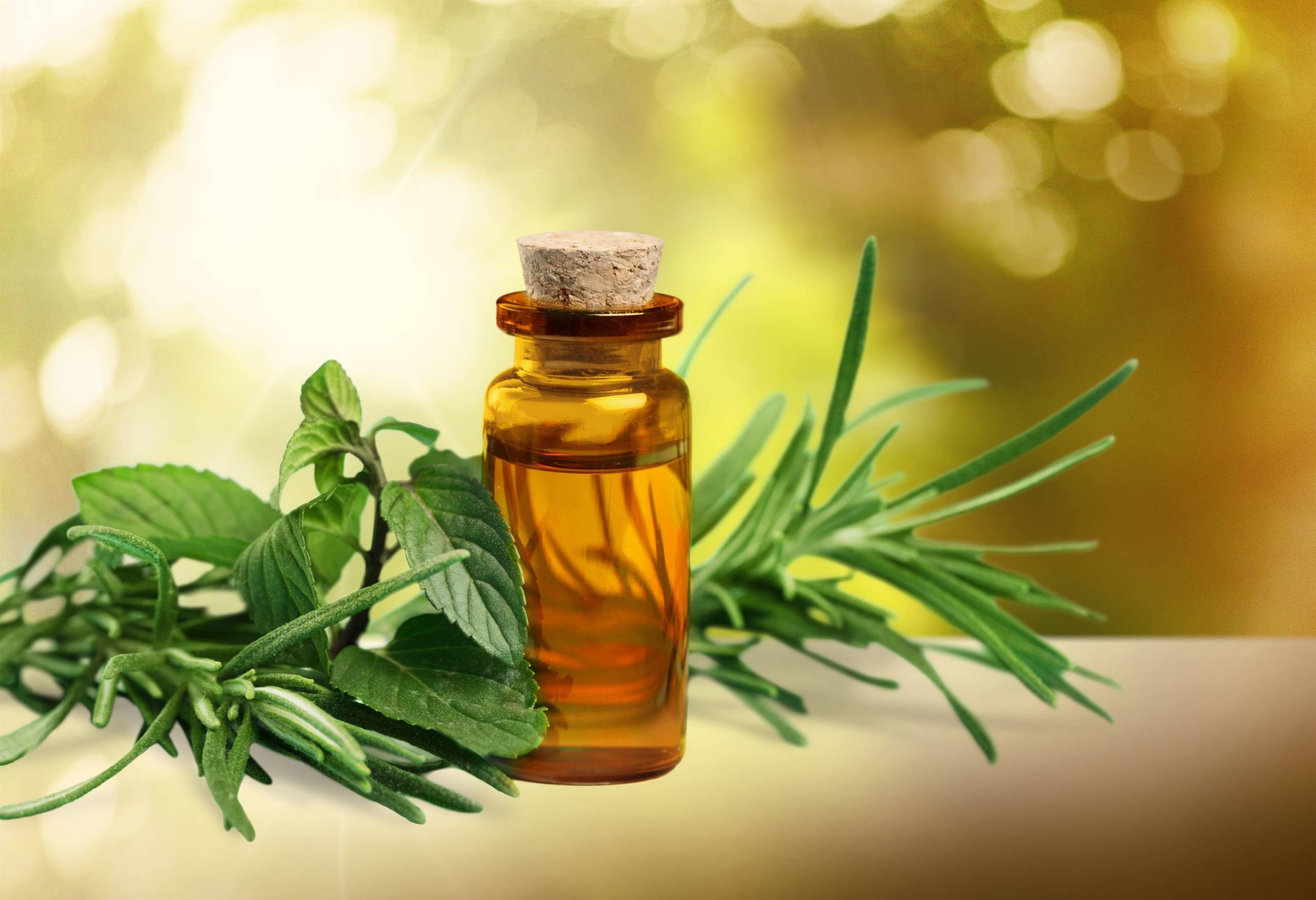 the bath essence - essential oil - tea tree oil