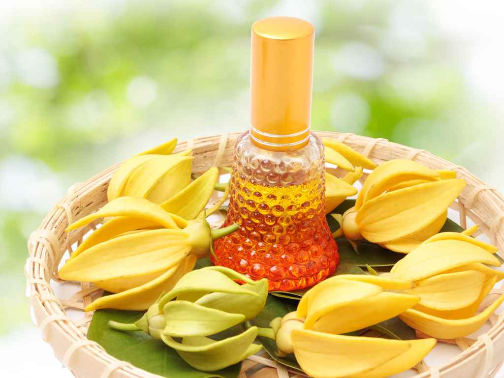 the bath essence - essential oil - ylang ylang oil